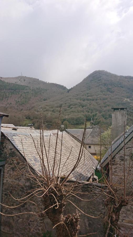 Appartement Dans Ancienne Maison Pyreneenne. Cadéac Eksteriør bilde